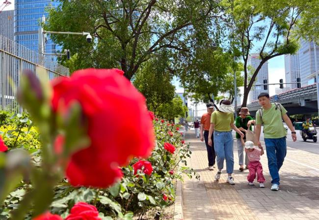北京或连续6天最高温超30℃,为何炎热持久? 首席预报员解读 晴晒加热所致