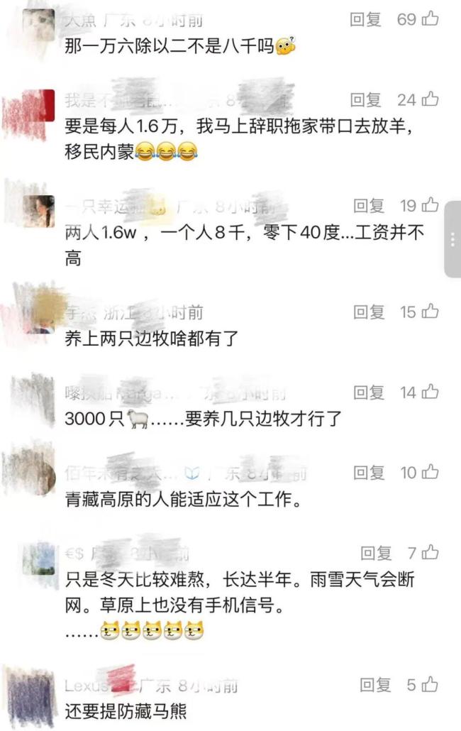 月薪1万6试岗放羊夫妻都是老手 牧区生活引热议