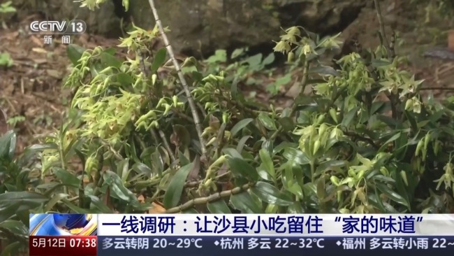 闲田变良田 让沙县小吃留住本土味道