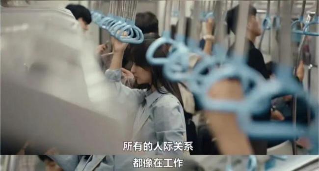 独居青年每月花5000元给猫续命 一场晚年生活的提前彩排