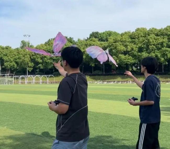 学生手搓仿生蝴蝶卖出20万 创新科技点亮婚礼现场