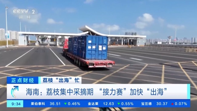海南自贸港多项便利举措助力荔枝加速“出海”