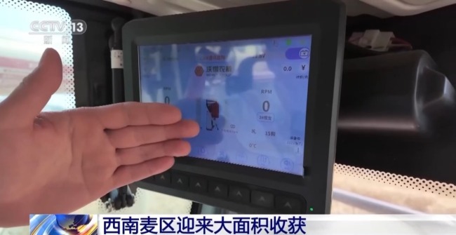 西南麥區迎來大面積收獲 “三夏”大忙拉開帷幕