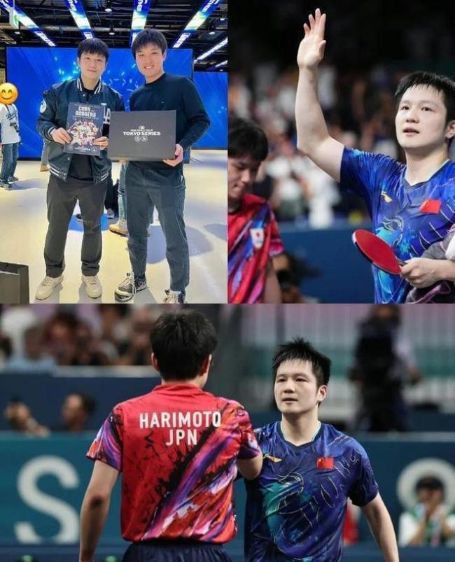 张本智和到底是不是天才，总被逆转的他如果是国乒球员会如何？