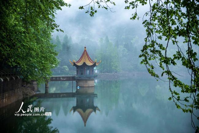 江西庐山：云海景不雅好意思如画