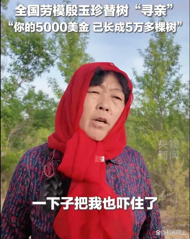 27年前捐5000美元植树的美国人找到了 5万棵树的成长答卷