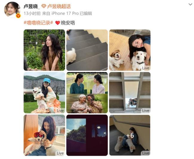 卢昱晓为《给阿嬷的情书》屏摄道歉