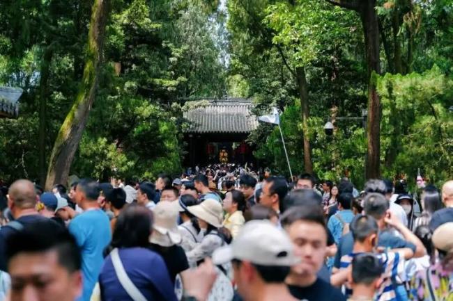 这届年轻人爱上逛博物馆