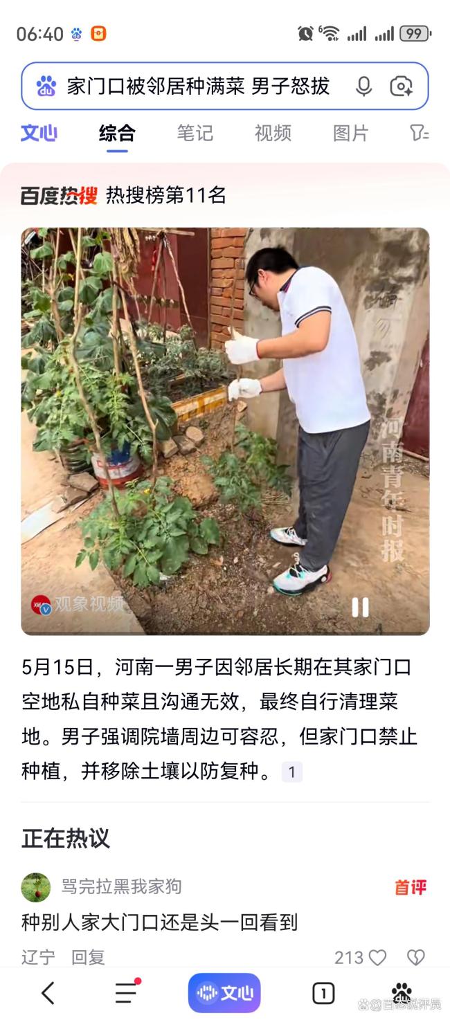 家门口被邻居种满菜男子怒拔