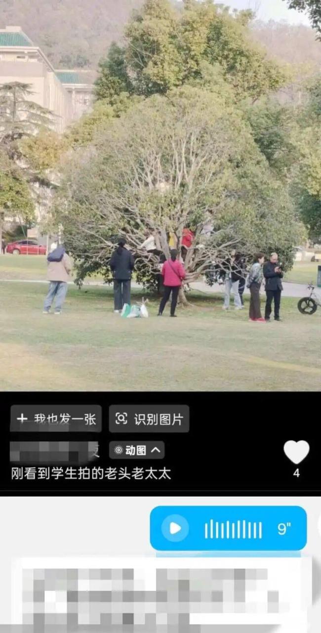 武大食堂爆满学生“无座可坐” 游客激增影响就餐