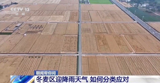 冬麦区迎降雨天气 各地如何分类应对？