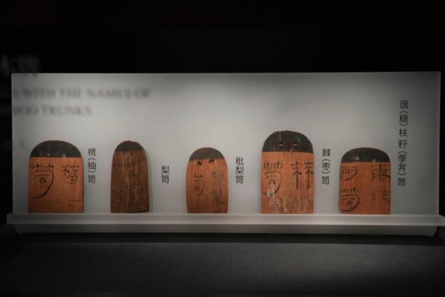 辛追夫人同款美食是什么味道