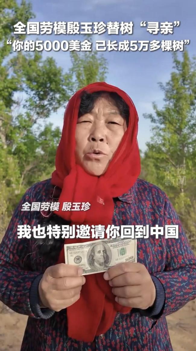 劳模大妈替树“寻亲”后续