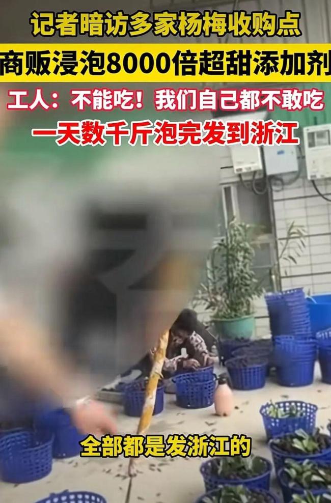 泡药杨梅被曝光 违规添加引发关注