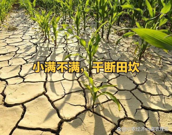 老东谈主说“小满起火，干断田坎”，何意？ 农谚背后的深意