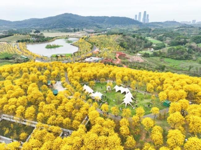南宁凭啥让网友纷纷想二刷 古今交融之美吸引人