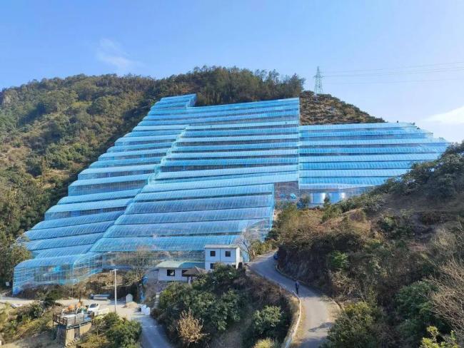 浙江果农纷纷出示杨梅检测报告 回应福建杨梅风波