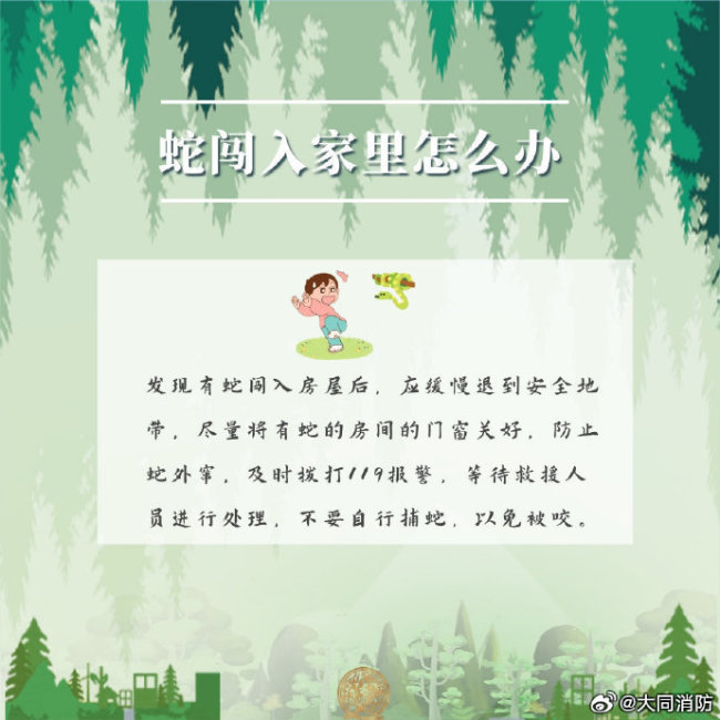 蛇类活跃期遇到蛇该怎么办？户外防蛇安全提示