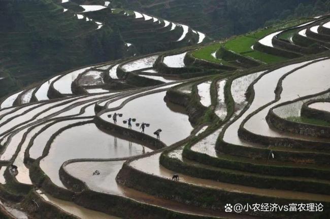 老东谈主说“小满起火，干断田坎”，何意？ 农谚背后的深意