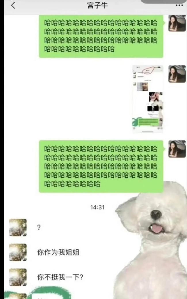 金靖回复张凌赫谢谢我的站哥 友谊的小船稳如初