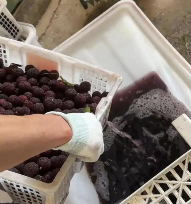 媒体：堵住食品安全过程漏洞