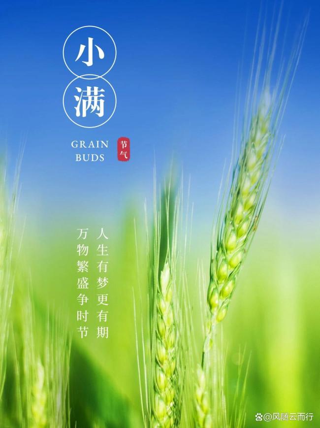 小满节气里的烟火诗意 恰到好处的美好