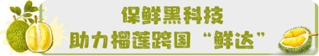 榴莲近期可能还要降价 挑选攻略揭晓