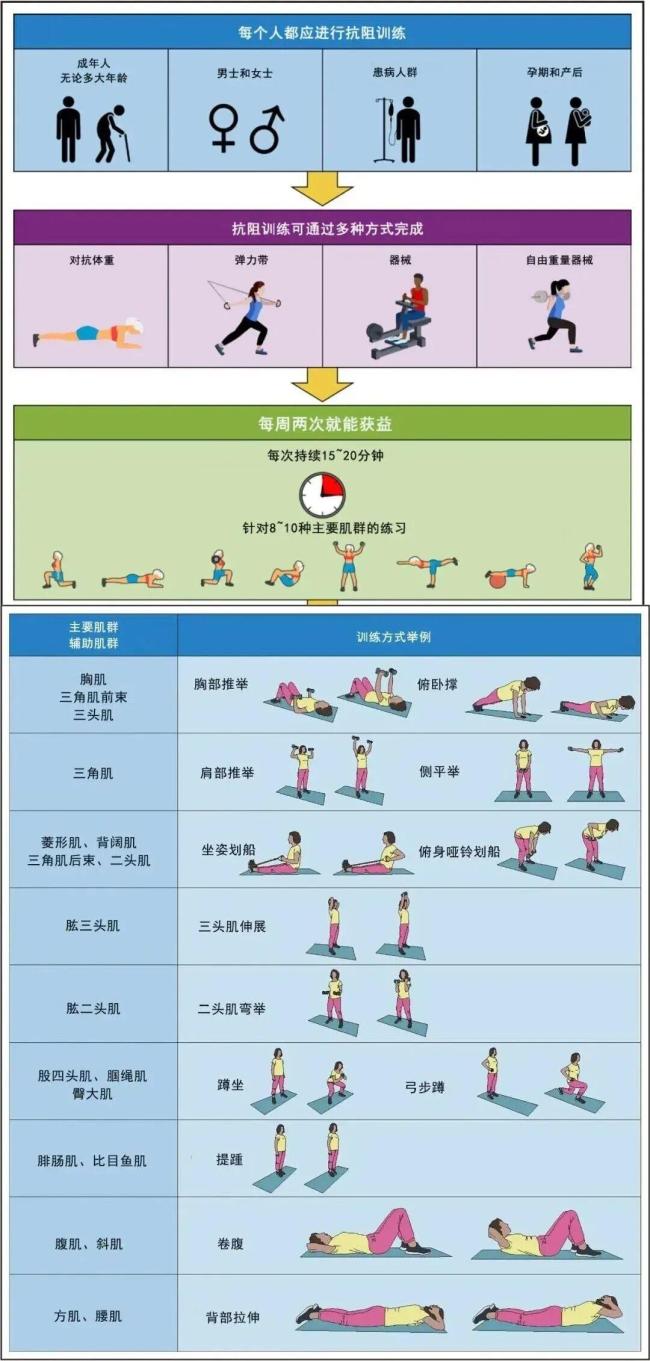 抗阻运动是一项被低估的护血管运动 科学训练指南