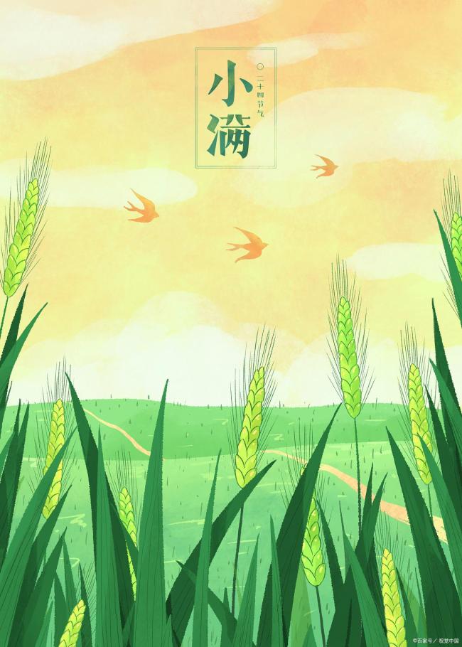 小满不下雨是什么预兆 预示下半年庄稼收成