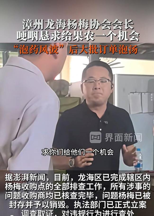 “泡药杨梅”被曝光后，当地协会会长哽咽恳求：给果农一个机会 行业危机亟待解决
