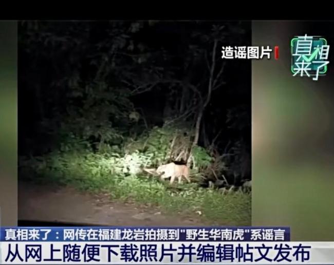 拍摄到野生华南虎系谣言网警依法查处
