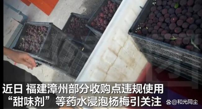 为何杨梅业者“给条生路”的讨饶无人听 信任危机难解