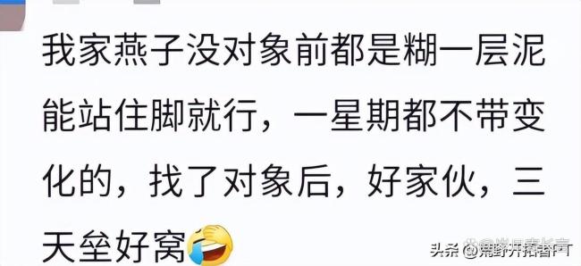 燕子在淋浴喷头上搭窝 房东：先住着 吉祥之兆引发热议