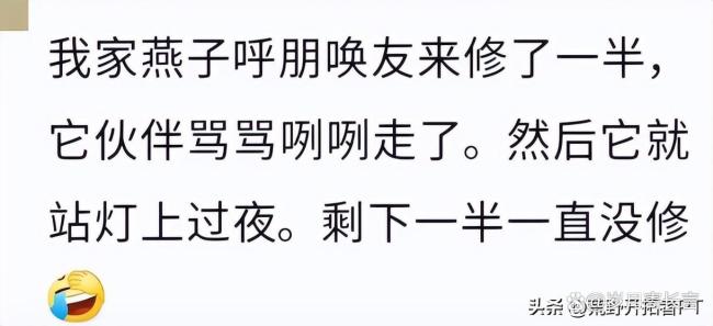 燕子在淋浴喷头上搭窝 房东:先住着 吉祥之兆引发热议