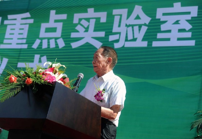袁隆平创建的实验室里稻子又长高了 绿意葱茏生机勃勃