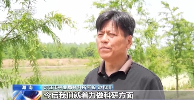 80%國家重點(diǎn)保護(hù)野生植物得到有效保護(hù) 怎么做到的