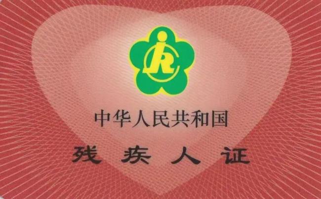 西安申领的导盲犬在天津办不了狗证 属地壁垒引发难题