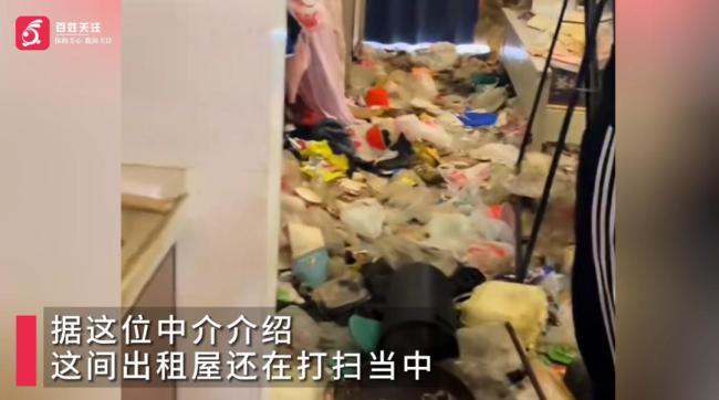 女租客欠租跑路留狗狗在垃圾堆 独居女子悄然离去引发争议