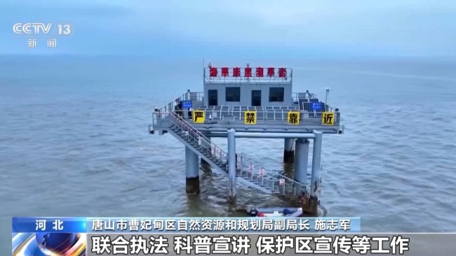 從渤海灣到潿洲島 我國(guó)海洋生態(tài)修復(fù)持續(xù)推進(jìn)