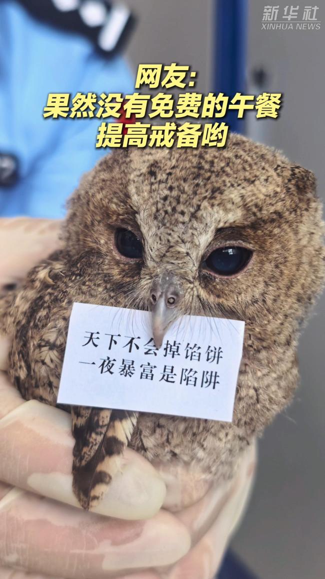 保护动物在派出所蹭吃 得做反诈宣传