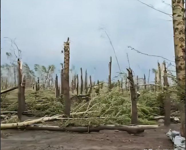 黑龙江一地遭龙卷风:家被吹得就剩炕,罕见强风引发关注