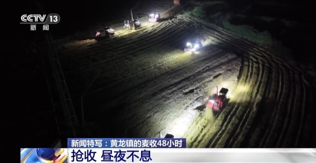 晝夜不息 直擊黃龍鎮(zhèn)小麥搶收48小時