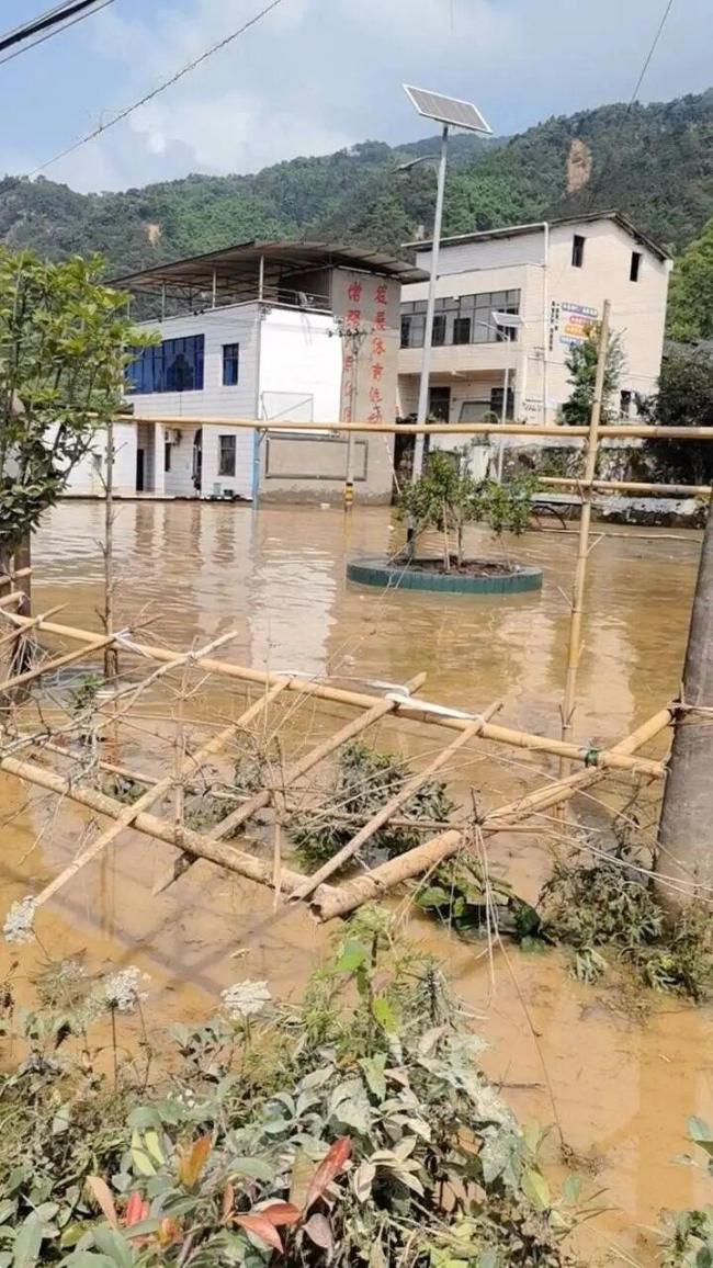十面埋伏外景地重庆茶山竹海多处塌方 知名景区山体滑坡关闭