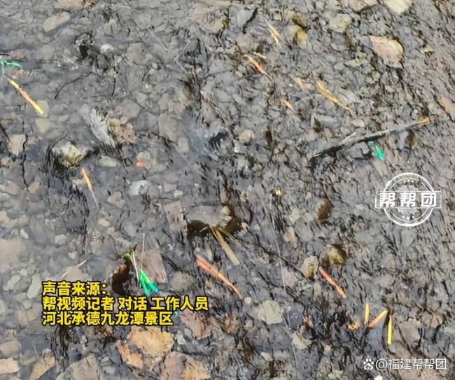 景区回应挂塑料流苏装饰争议 美观与环保之争
