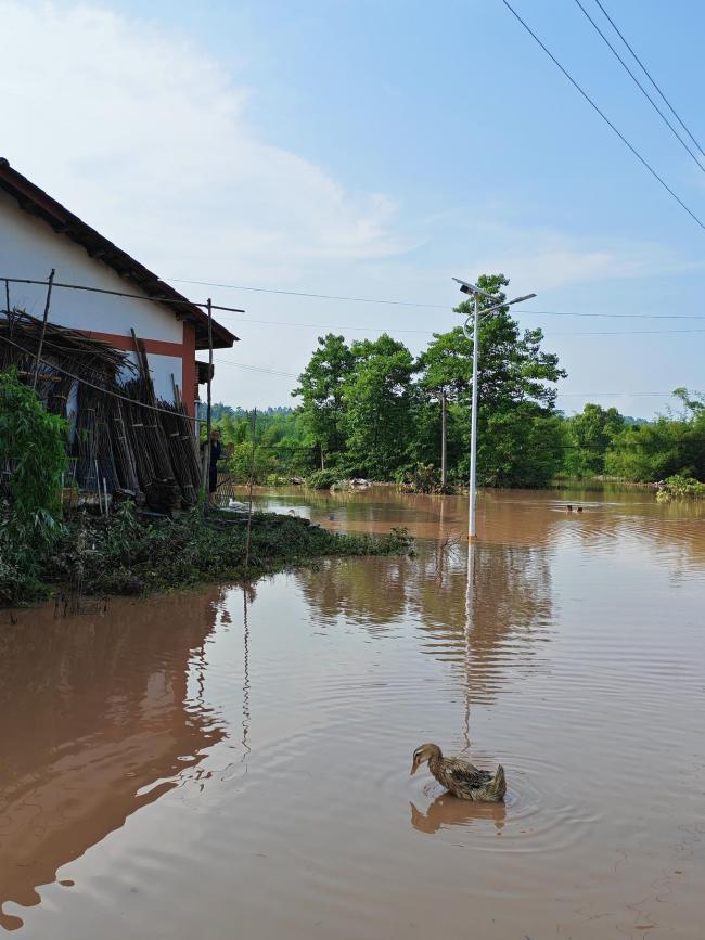 老人被鸭叫声惊醒发现洪水陡涨 及时撤离保住性命
