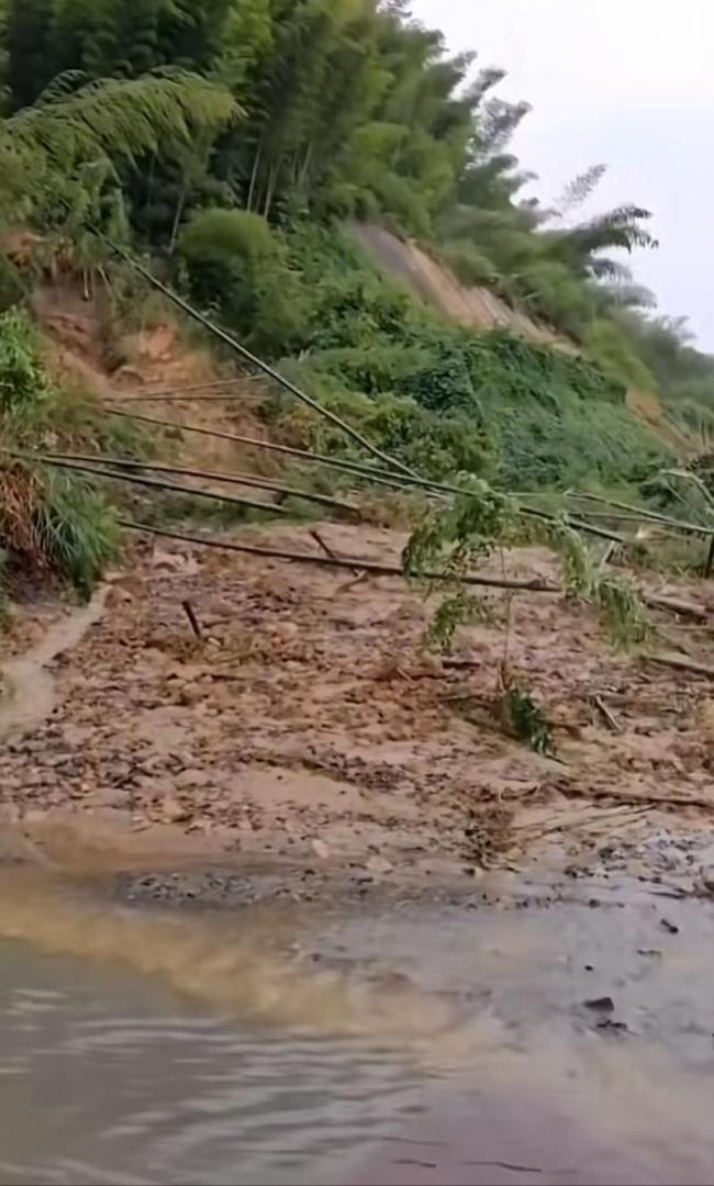 十面埋伏取景地茶山竹海闭园