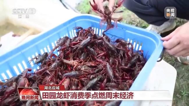 文體旅商深度融合激活消費(fèi)活力