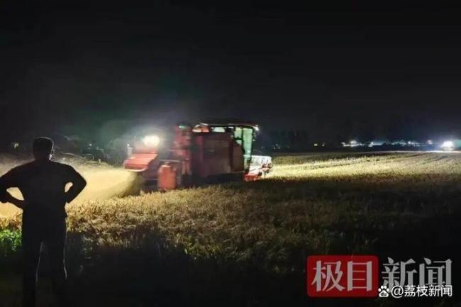 评判基层干部的标尺应该落在哪里 实干为民才是真标准