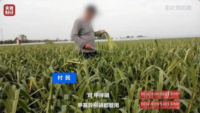 媒體曝光禁售高毒農藥問題 違規(guī)銷售仍存隱患