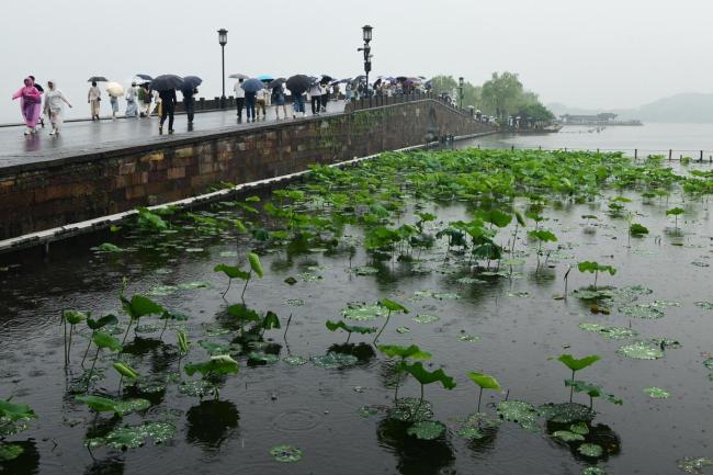 杭州湿度超亚马孙热带雨林 南方湿热“离谱”
